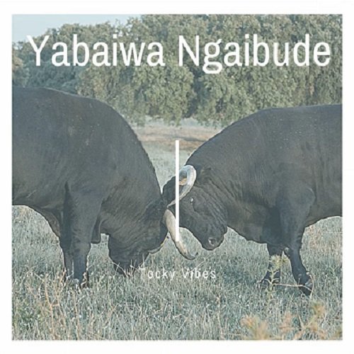 Yabaiwa Ngaabude