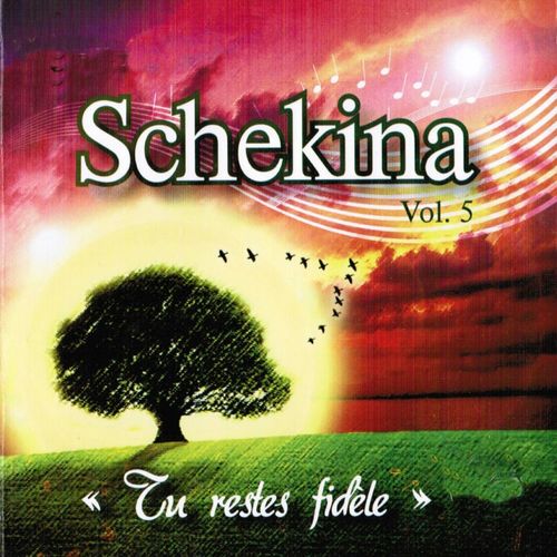 Tu Restes Fidèle by Schékina | Album