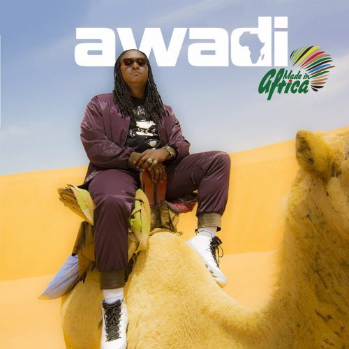 Made In Africa by Didier Awadi | Album
