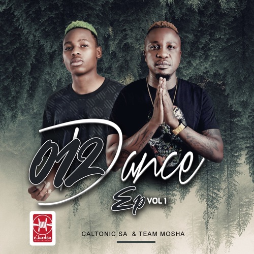012 Dance by Caltonic SA | Album