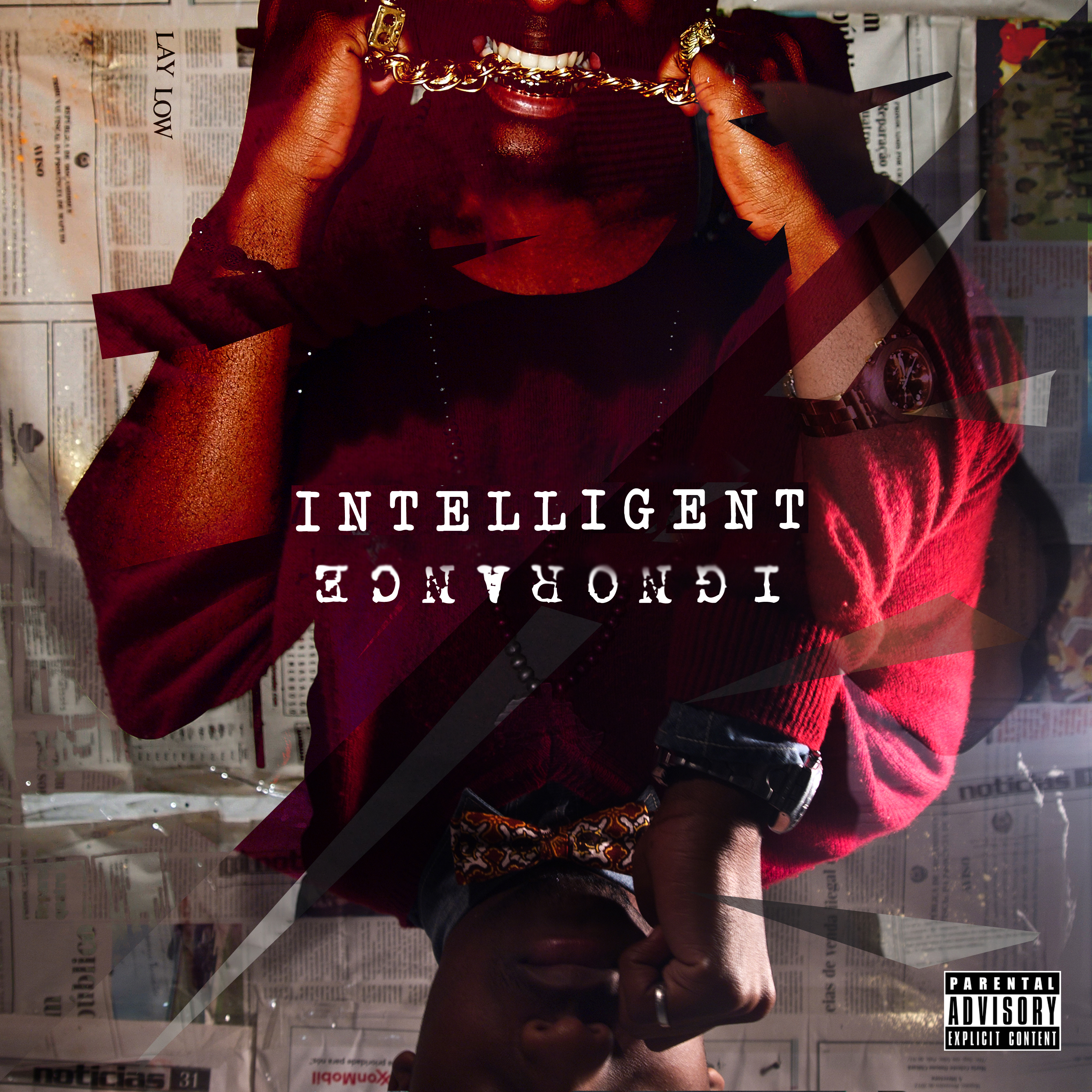 Intelligent Ignorance by Laylizzy | Album