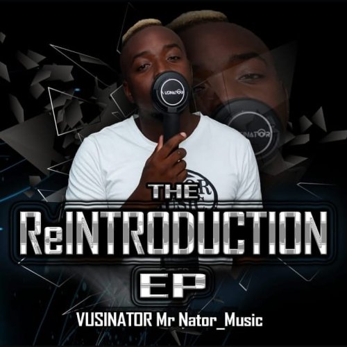 The Reintroduction(EP)