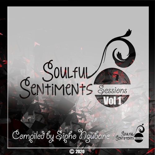Soulful Sentiments Sessions, Vol. 1 by Sipho Ngubane | Album