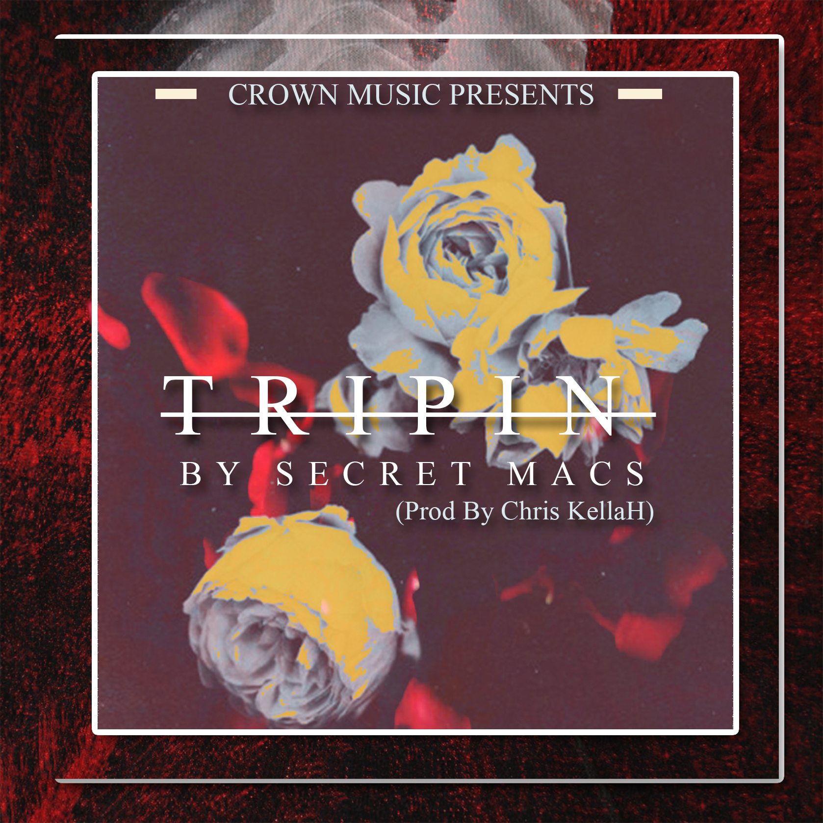 TRIPPIN