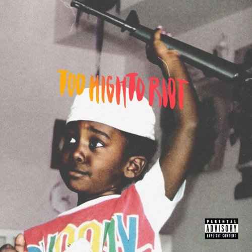 Too High To Riot by Bas