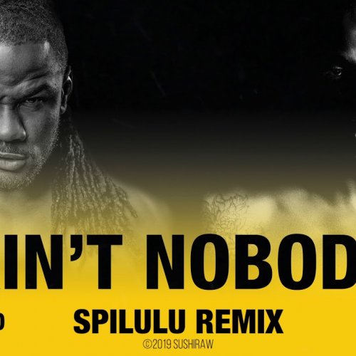 Ain't Nobody (Remixes) by C4 Pedro | Album