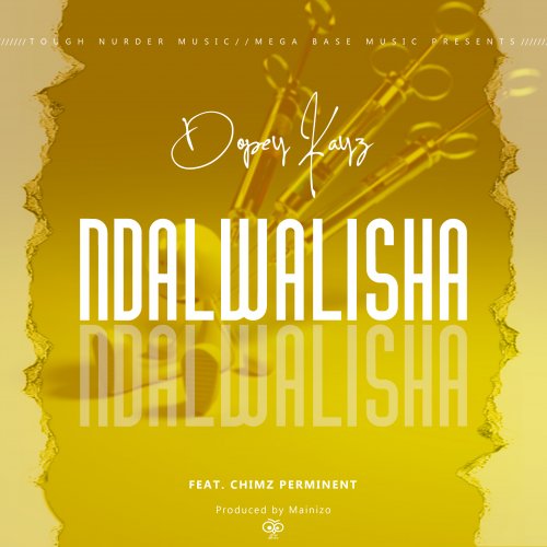 Ndalwalisha (Ft Chey Chore, Chimz Perminent)