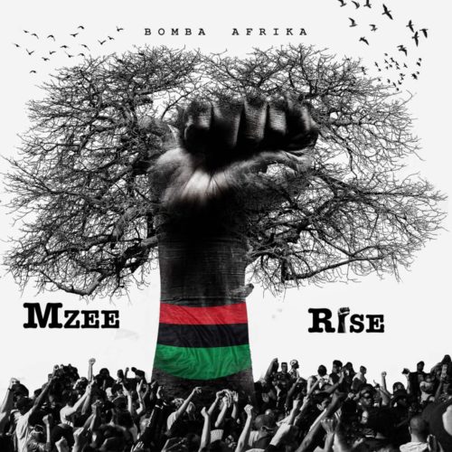 Rise (Album) by Mzee | Album