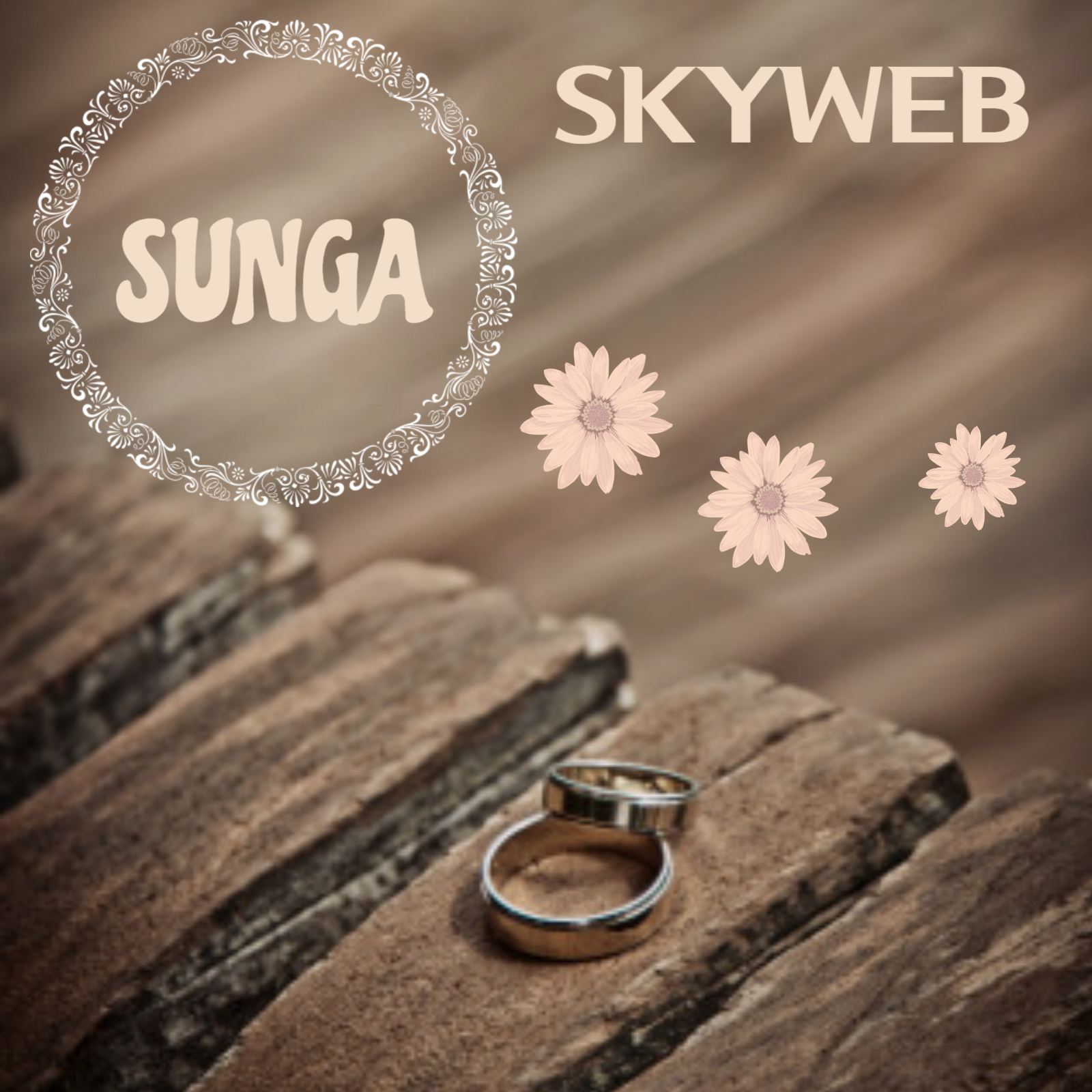 Skyweb