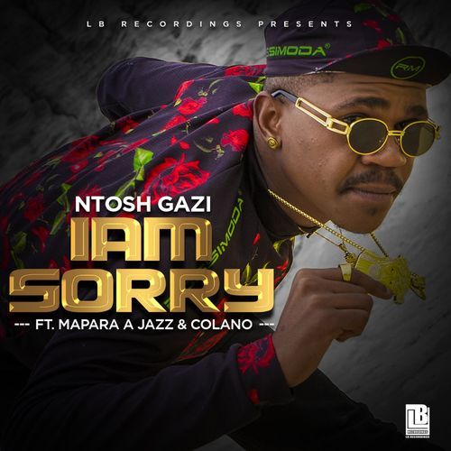 I am Sorry (Ft Mapara A Jazz, Colano)