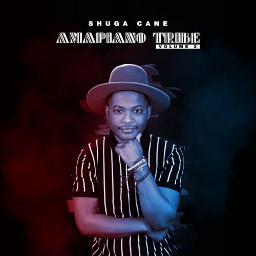 Amapiano Tribe 2 by Shuga Cane | Album
