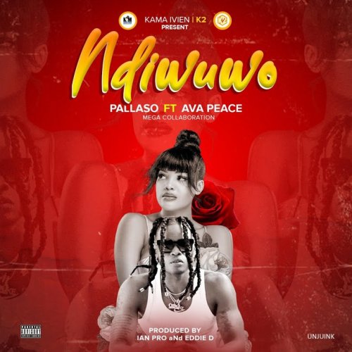 Ndiwuwo (Ft Pallaso)