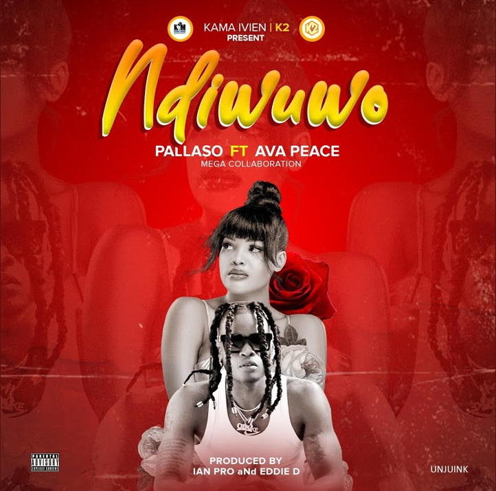 Ndiwuwo (Ft Pallaso)