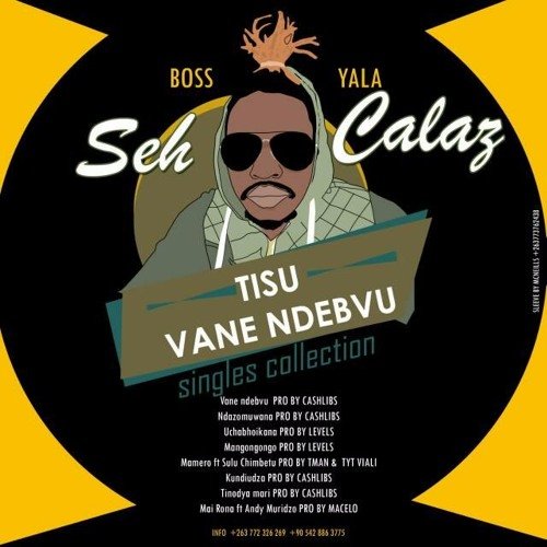 Tisu Vane Ndebvu by Seh Calaz | Album