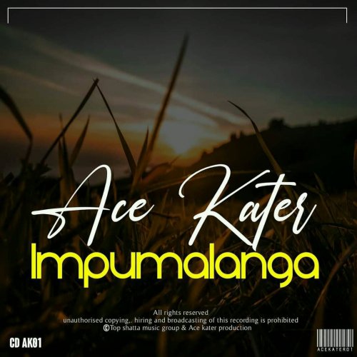 Somandla  (Ace kater ft Elroy & Mj)