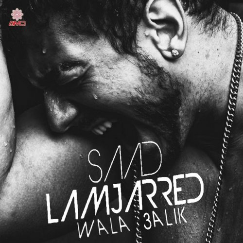 Wala 3alik by Saad Lamjarred