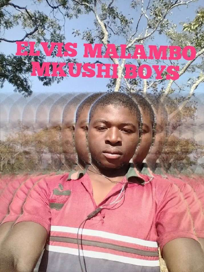 Miyanda Elvis Malambo