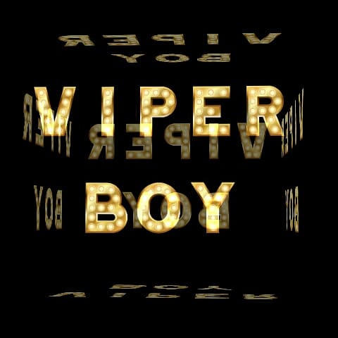 Viper Boy