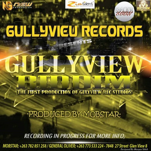 Gullyview Records
