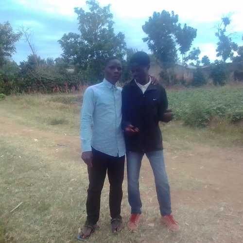 Niombee
