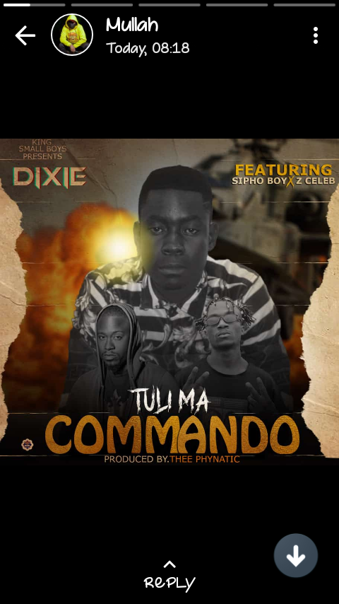 commando Z celeb sipho you