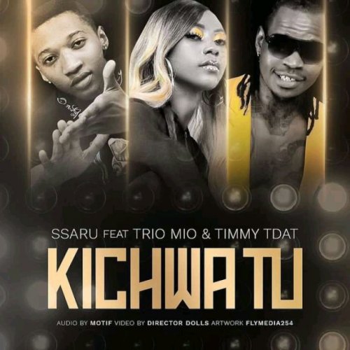 Kichwa Tu (Ft Trio Mio, Timmy Tdat)
