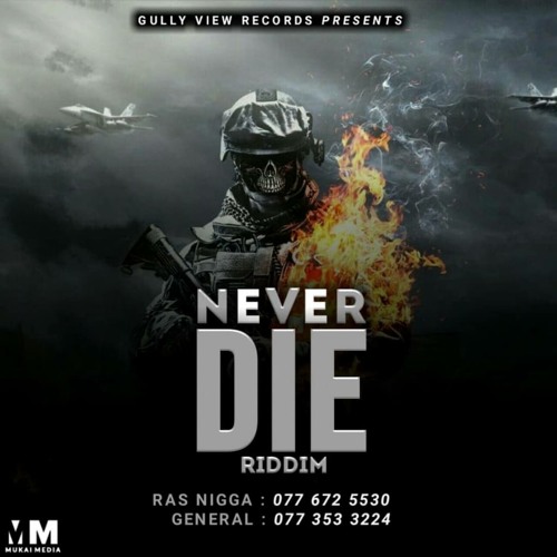 Never Die Riddim by Gullyview Records | Album