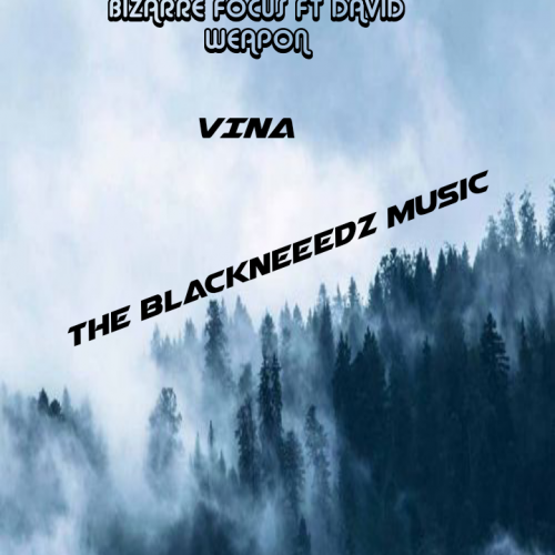 Vina (Ft David Weapon)