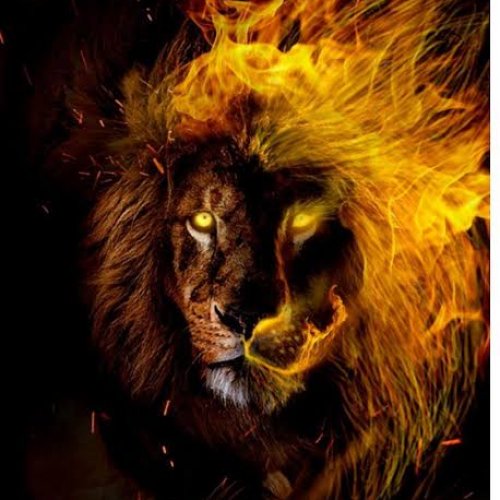 Momo The Bae (Ft Palesa)