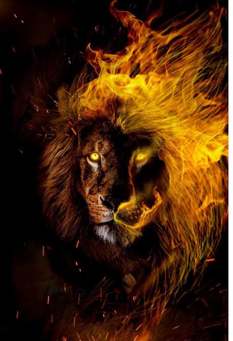 Momo The Bae (Ft Palesa)