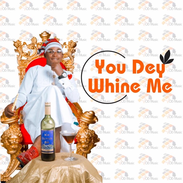 Shey You Dey Whine Me Ni