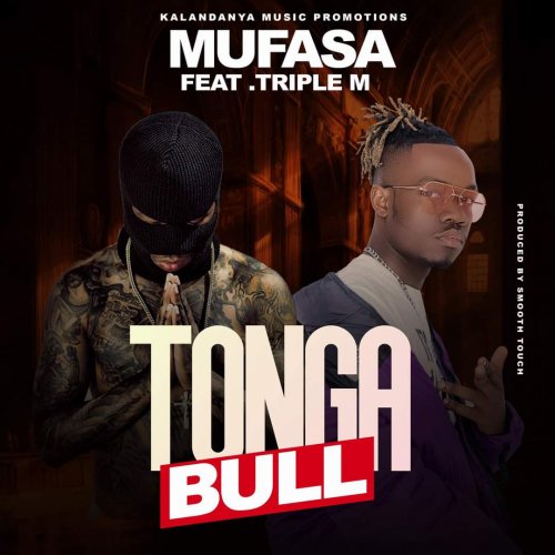Tonga Bull