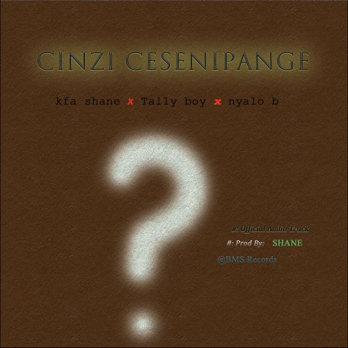 Cinzi Cesenipange