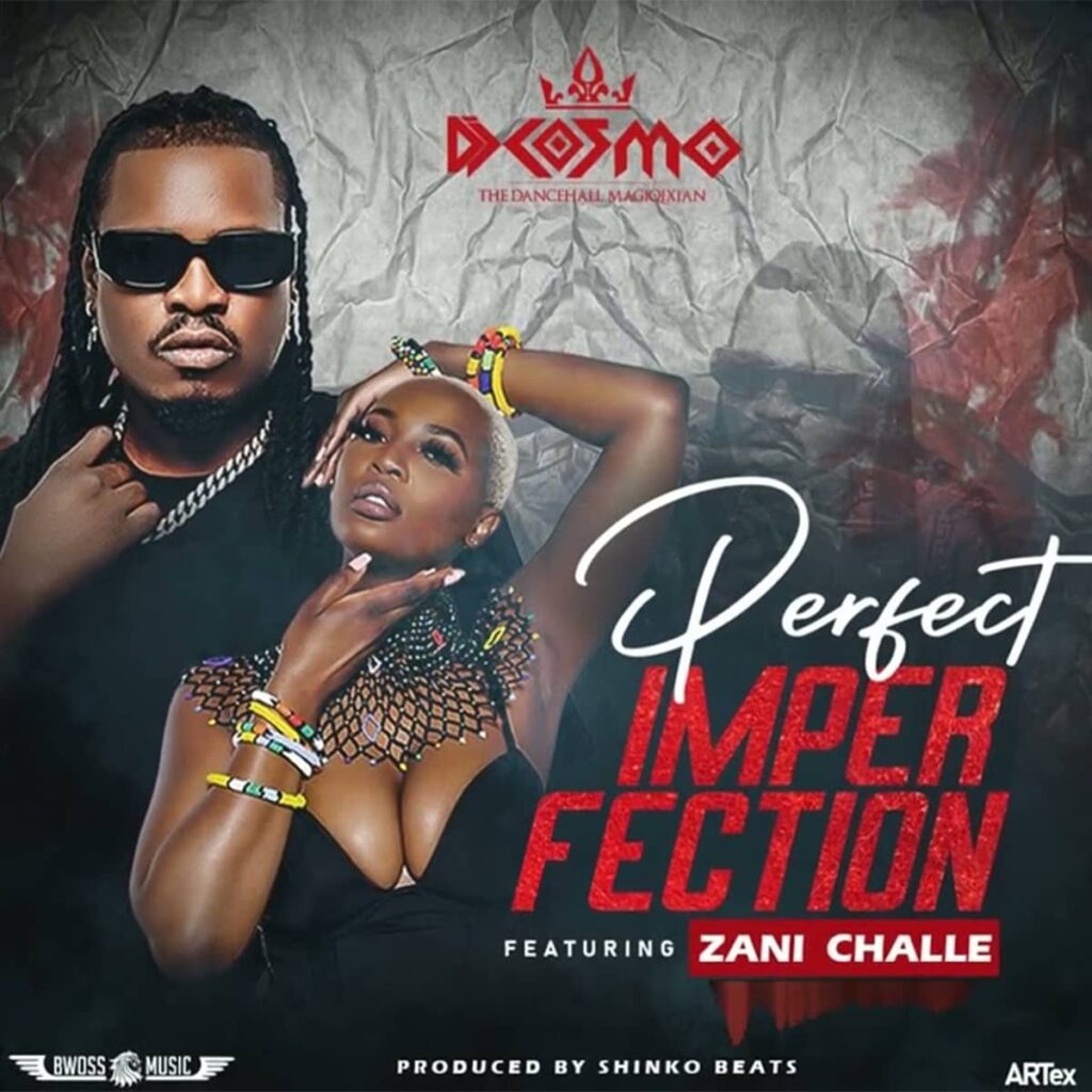 Perfect Imperfection (Ft Zani Challe)