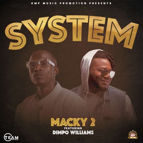 System (Ft Dimple Williams)