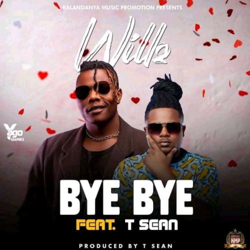Bye Bye Ft T Sean By Willz Mr Nyopole Afrocharts