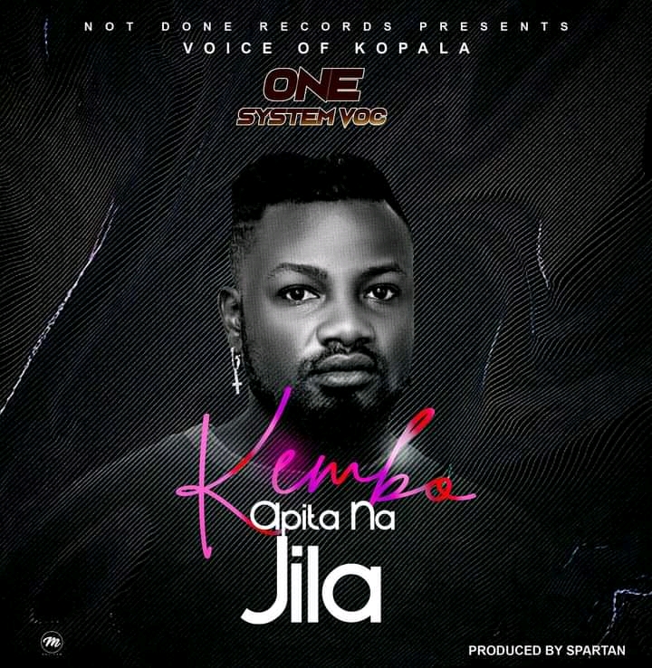 Kembo apita na jila