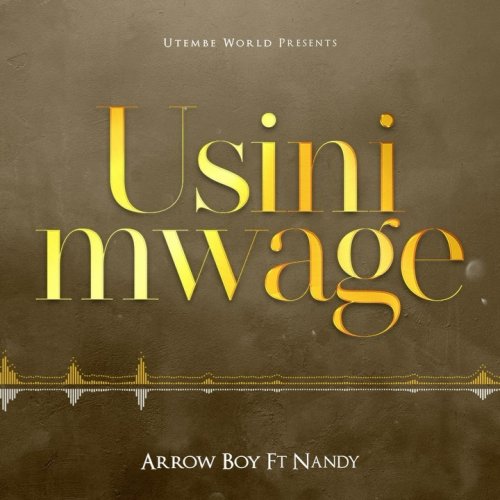 Usinimwage (Ft Nandy)