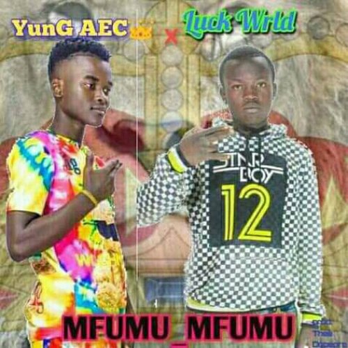 Mfumu ni mfumu