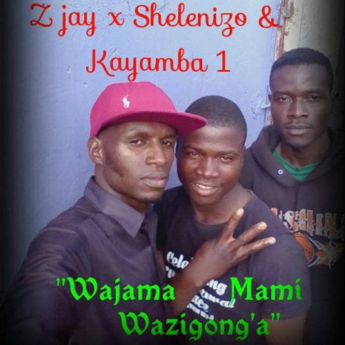 Wazi gong`a  (Ft Kayamba, Shelenizo)