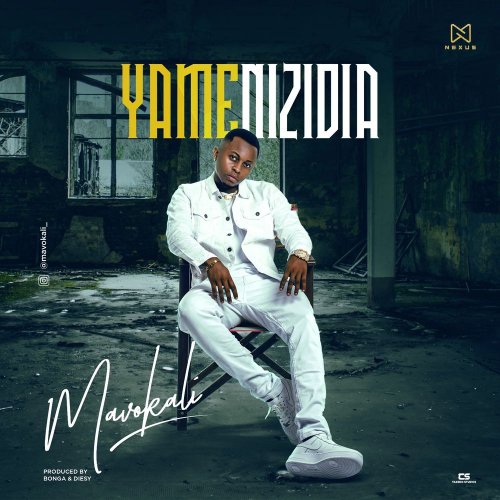 Yamenizidia