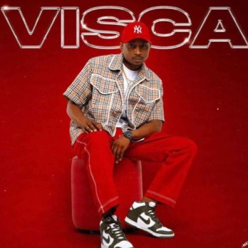 Visca Vimba (Ft DJ Maphorisa, Murumba Pitch, Daliwonga)