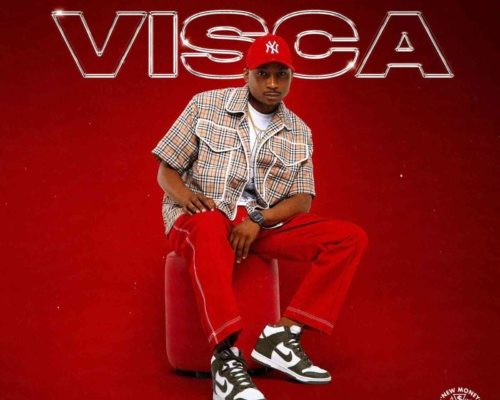 Visca Vimba (Ft DJ Maphorisa, Murumba Pitch, Daliwonga)