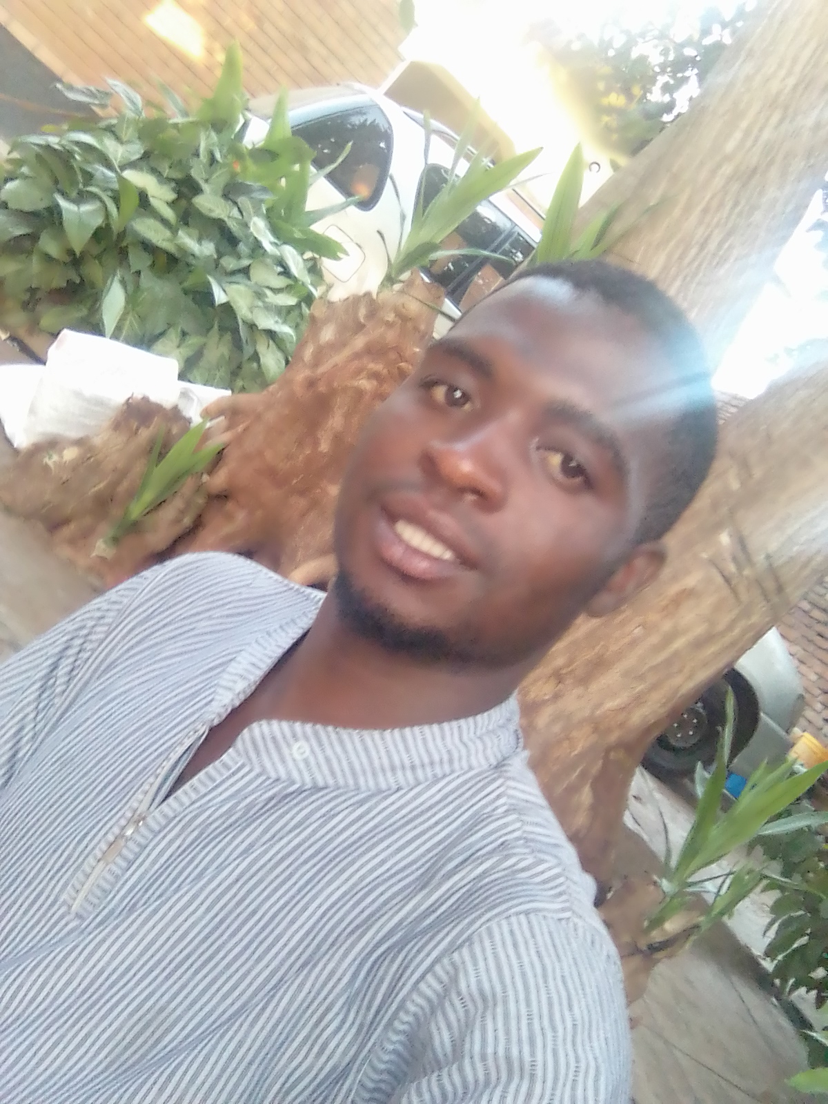 Chiphazi