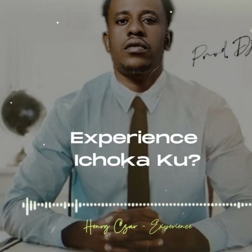 Experience