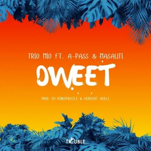 Dweet (Do it) (Ft A-Pass, Masauti)