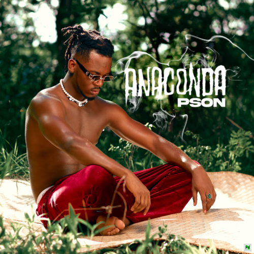 Anaconda EP by Pson