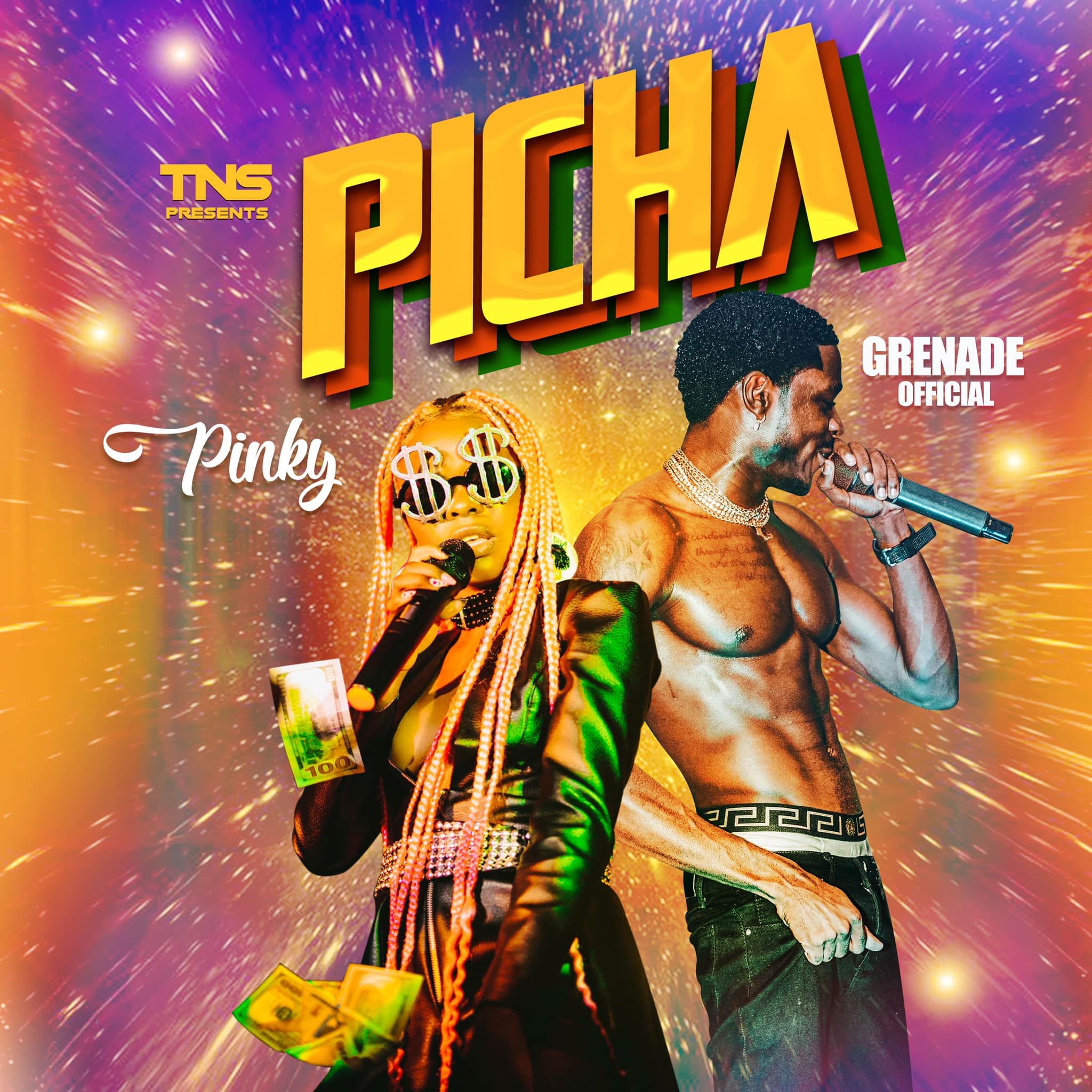 Picha (Ft Grenade)