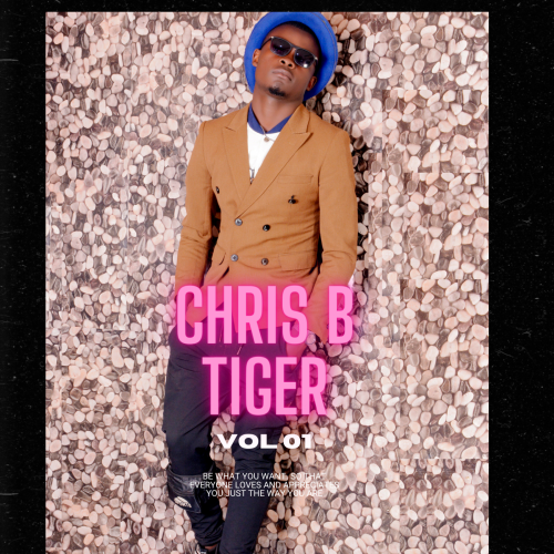 The New World by Chris B Tiger | Album
