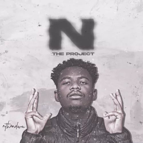N the project